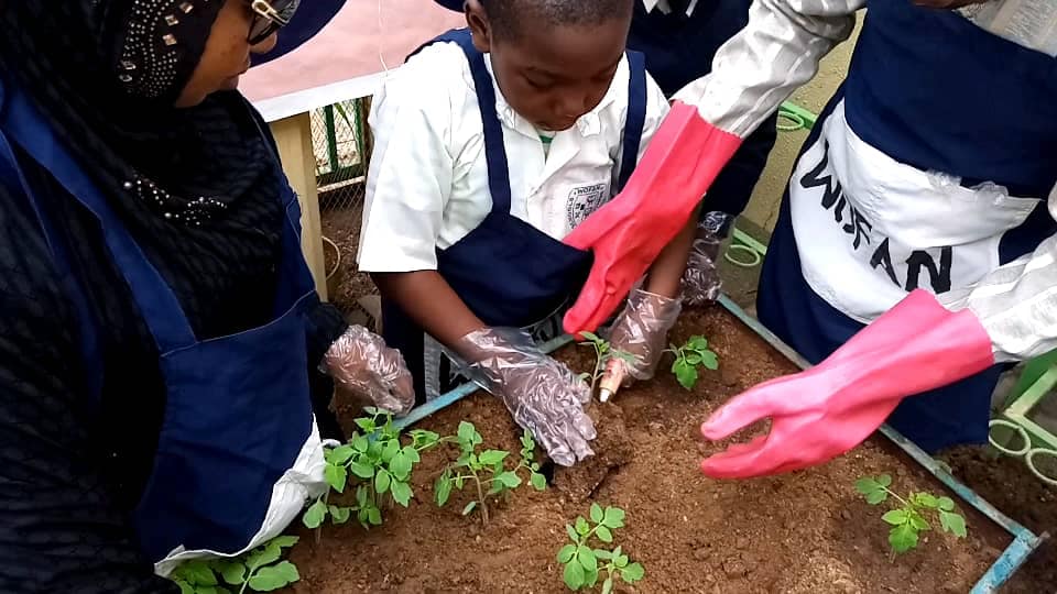 School Pupil learning agric activities